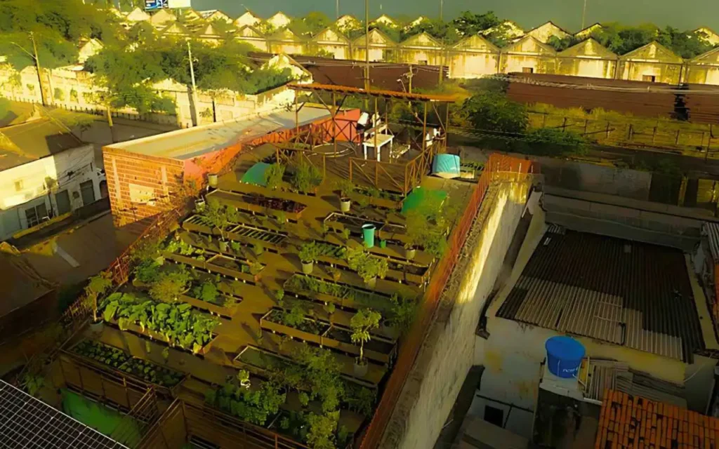 Projeto Telhado Eco Produtivo 4 Ecoteto
