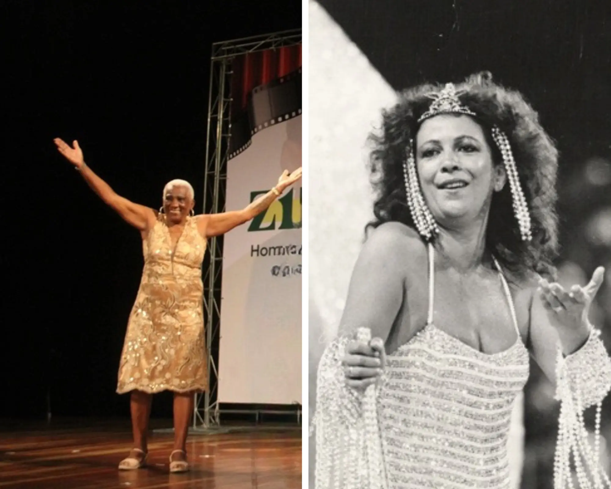 Unidos do Porto da Pedra e o enredo 'Lunário Perpétuo' 1 Professores 2